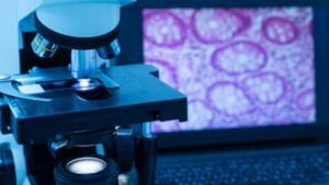 Tipos de tejidos que se analizan en histotecnología Tipos de tejidos que se analizan en histotecnología