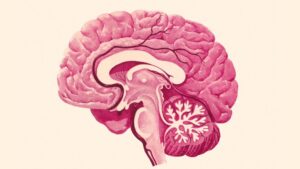 ¿La psicología social tiene que ver con el neuromarketing? Una aproximación interdisciplinaria