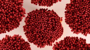VPH y Citología: ¿Cómo detectamos el virus bajo el microscopio? VPH y Citología: ¿Cómo detectamos el virus bajo el microscopio?
